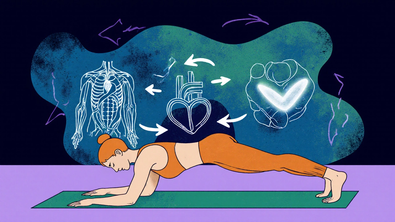 Illustration of a plank pose with overlay showing active muscles and metabolism.